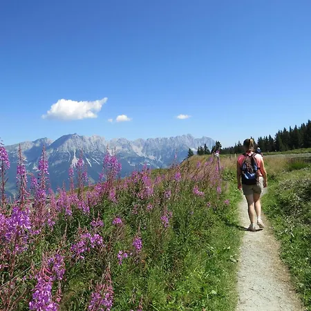 Haus Janita Apartment *