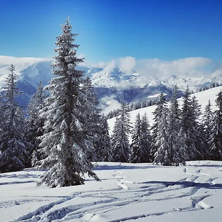 Haus Janita * Westendorf